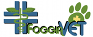 Ambulatorio veterinario Foggia